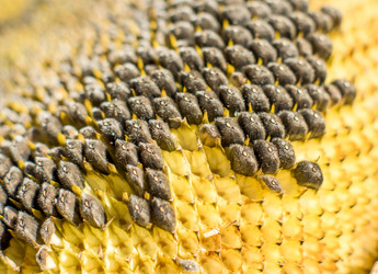 Similar image 7903780