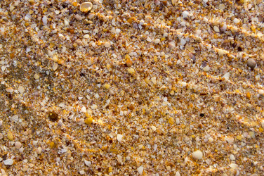 Similar image 7903784