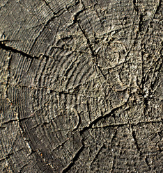 Similar image 7903824