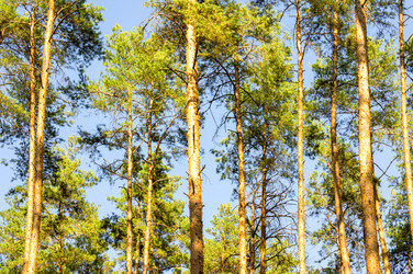 Similar image 7903831