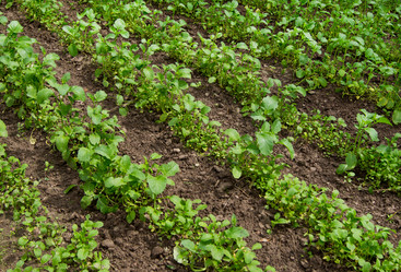 Similar image 7903858