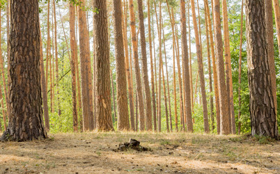 Similar image 7903873