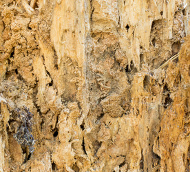 Similar image 7903894