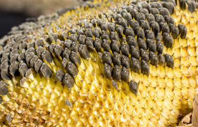 Similar image 7903898