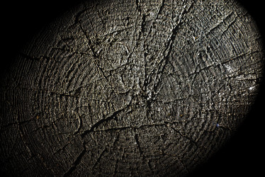 Similar image 7903907