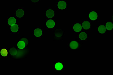 Similar image 7903988