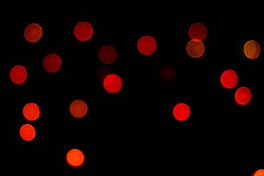 Similar image 7904004