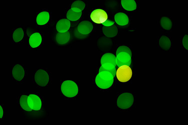 Similar image 7904012