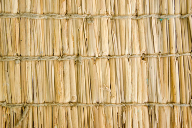 Similar image 7904032