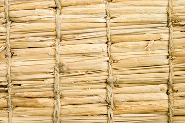 Similar image 7904033