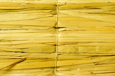 Similar image 7904036