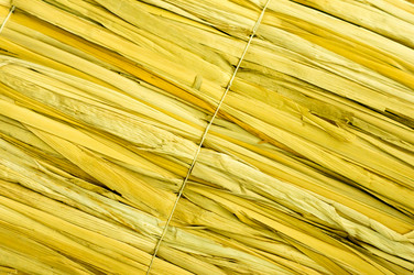 Similar image 7904040