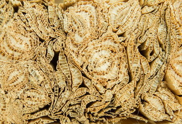 Similar image 7904045