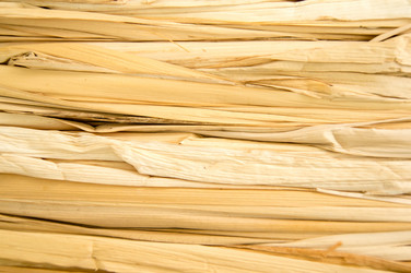 Similar image 7904046