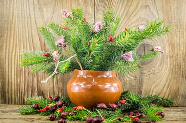 Similar image 7904058