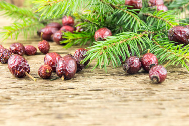 Similar image 7904059