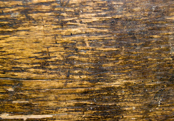 Similar image 7904100