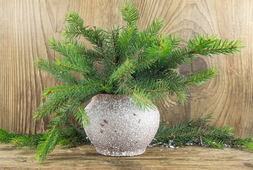 Similar image 7904115