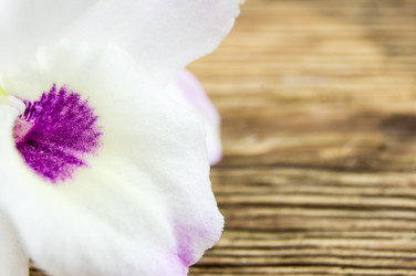 Similar image 7904151