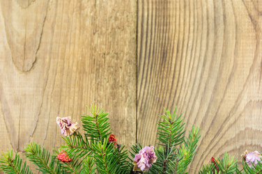 Similar image 7904178