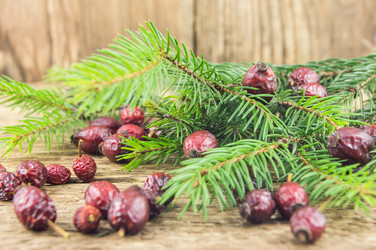 Similar image 7904182