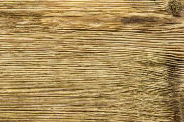 Similar image 7904198