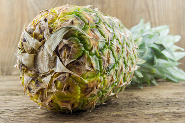 Similar image 7904215