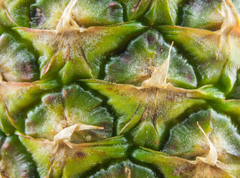 Similar image 7904234