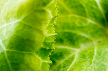 Similar image 7904253