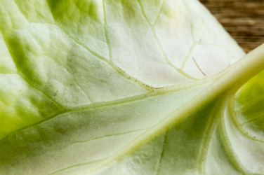 Similar image 7904255