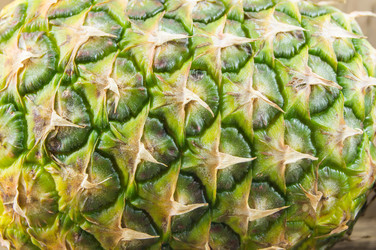 Similar image 7904256