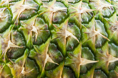 Similar image 7904258