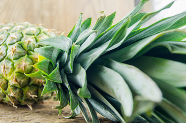 Similar image 7904261