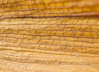 Similar image 7904263