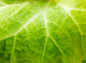 Similar image 7904265