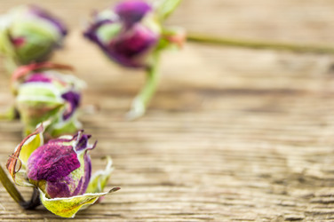 Similar image 7904267