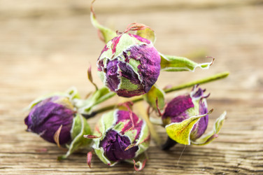 Similar image 7904268