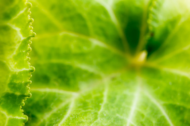 Similar image 7904271