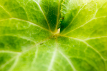 Similar image 7904280