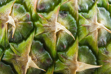 Similar image 7904285