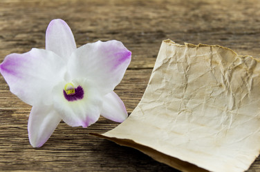 Similar image 7904293