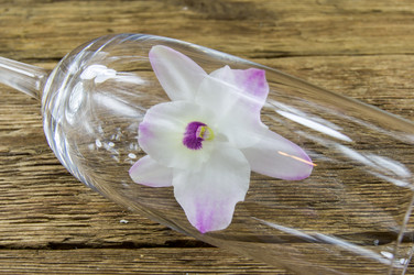 Similar image 7904298