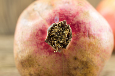 Similar image 7904300