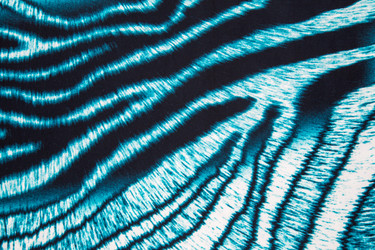 Similar image 7904338