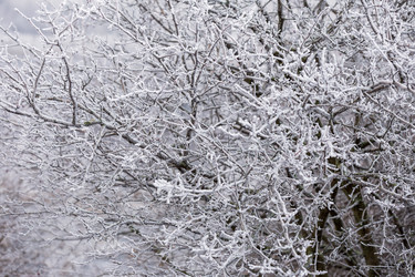 Similar image 7904339