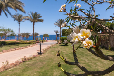 Similar image 7904345