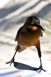 Similar image 7904404