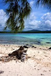 Similar image 7904434