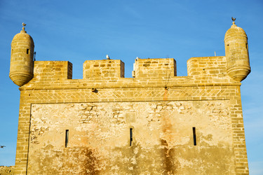 Similar image 7904501