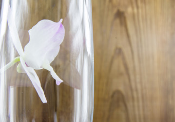 Similar image 7904513